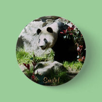 Panda Smile! buttons