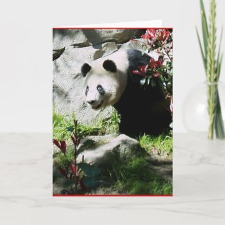 Panda Smile card