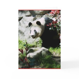 Panda Smile card