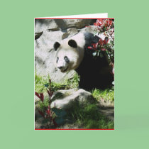 Panda Smile cards