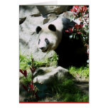 Panda Smile Greeting Cards
