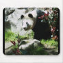 Panda Smile Mouse Pad