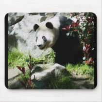 Panda Smile mousepads