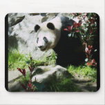 Panda Smile Mouse Pad