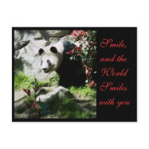 Panda Smile postcards