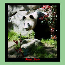 Panda Smile posters