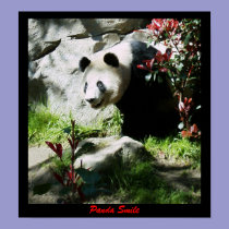 Panda Smile posters