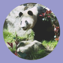 Panda Smile stickers