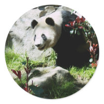 Panda Smile stickers