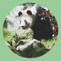 Panda Smile stickers