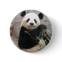 Panda Snack buttons by MuseMagic Panda Snack buttons