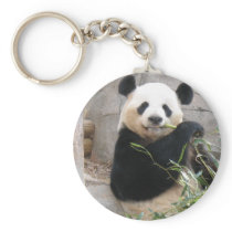 Panda Snack Key Chain