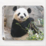 Panda Snack Mouse Mats