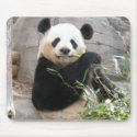 Panda Snack mousepads