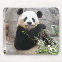 Panda Snack mousepads by MuseMagic Panda Snack mousepads