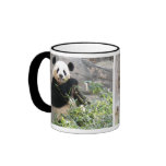 Panda Snack Mug