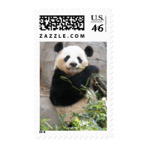 Panda Snack postage by MuseMagic Panda Snack postage