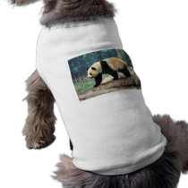 Panda Stroll pet clothing by alternateworlds Panda Stroll pet clothing