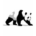 Panda t-shirts