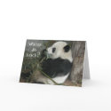 Panda, Wanna do lunch? card