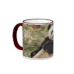 PandaM001 Coffee Mugs
