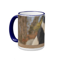 PandaM012 mugs