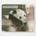 PandaM016 mousepads