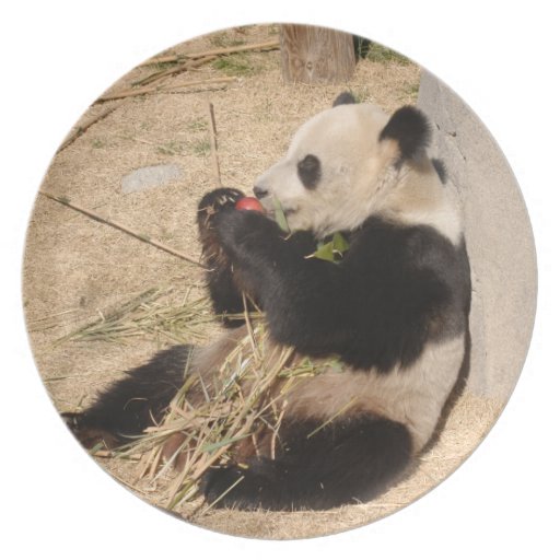 PandaM020 Plates