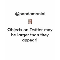 pandamonial t-shirts
