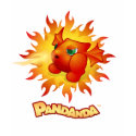 Pandanda Fiery Red Dragon t-shirts