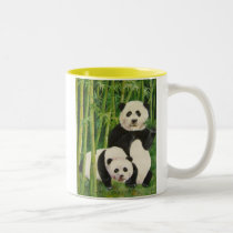 pandas2 mugs