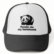 Pandas ate my homework mesh hat