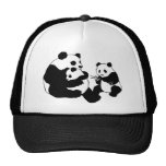 panda, pandas, bear, bears, wild