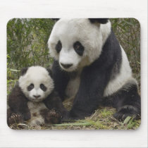 pandas mouse pads