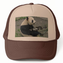 panda's need guns hats
