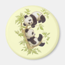 Panda's Playing in a Tree Fridge Magnets