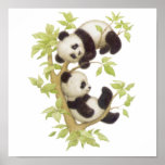 Pandas Playing in a Tree posters