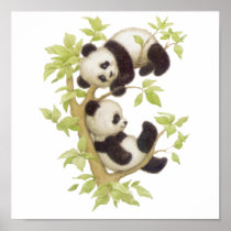 Pandas Playing in a Tree Posters