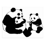 panda, pandas, bear, bears, wild