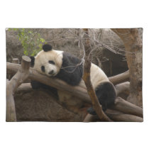 PandaSD003 placemats