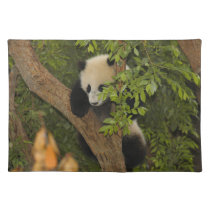 PandaSD004 placemats