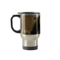 PandaSD009 mugs