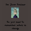 pandlitle2, I'm Your Trainer, So you need to re... t-shirts