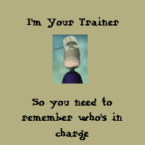 pandlitle2, I'm Your Trainer, So you need to re... t-shirts