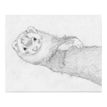"Pandora" Ferret Drawing Poster posters