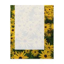 Panel 0107 - Sedum Autumn Joy (B&W) Personalized Flyer