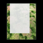 Panel 0108 - Sedum "Autumn Joy" flyers