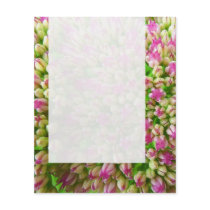 Panel 0110 - Sedum "Autumn Joy" (B&W) Personalized Flyer