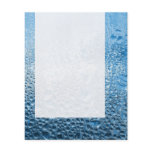 Panel 089 - Blue Water Flyer