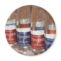 pangea magnetic